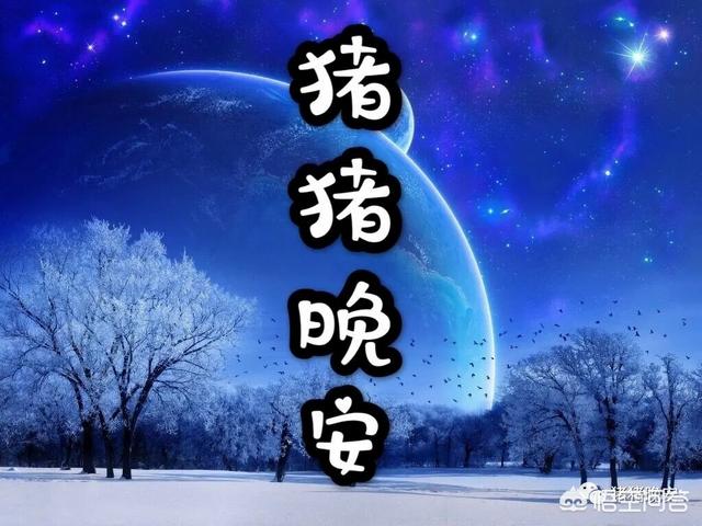 哄宝宝的睡前小故事_哄宝宝睡觉故事大全5分钟