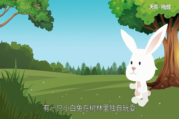 小兔子故事在线听_小兔子故事语音